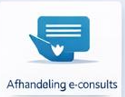 Afhandeling e-consults